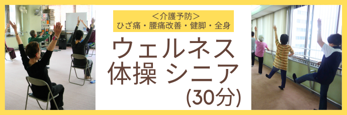 シニア向け30分体操